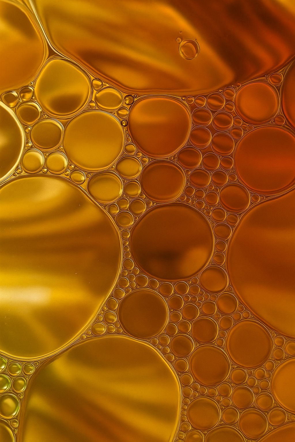 Golden oil bubbles, close up